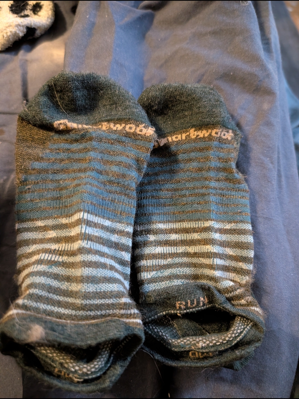 Smartwool Women's Low-Cut Striped Athletic Socks - Army Green Striped